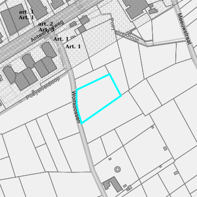 Ruimtelijke uitvoeringsplannen (RUP)