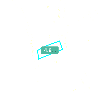 Mobiscore