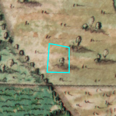 Ferraris (1771-1778)