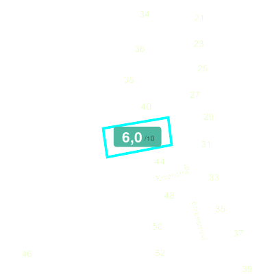 Mobiscore