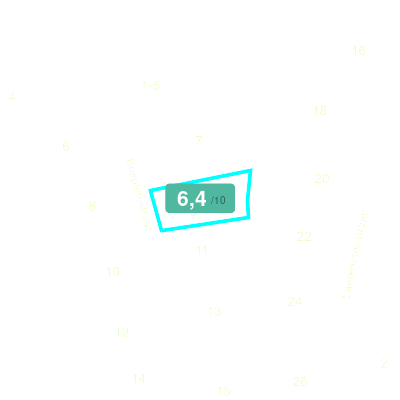 Mobiscore