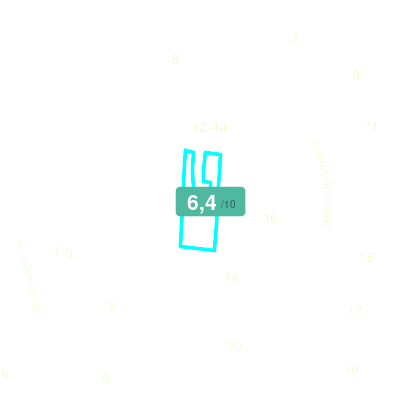 Mobiscore