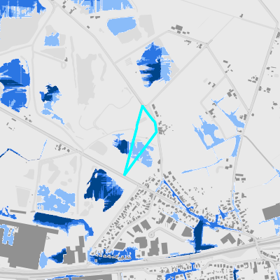 Overstromingsgevoelig (pluviaal)
