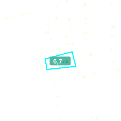 Mobiscore