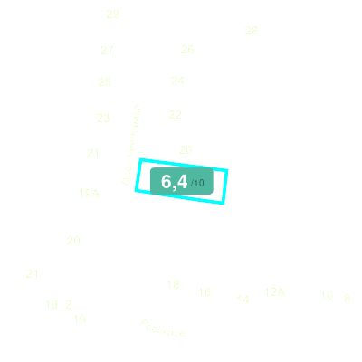 Mobiscore