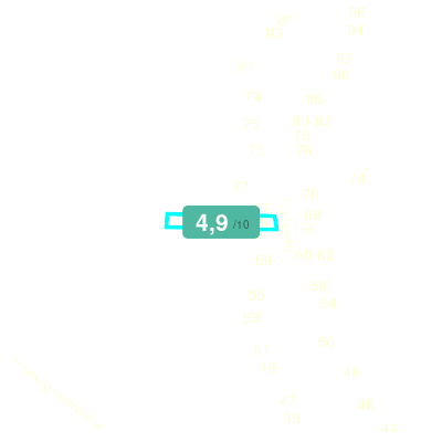 Mobiscore