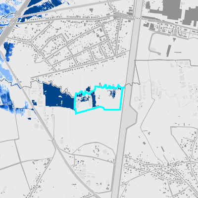 Overstromingsgevoelig (fluviaal)
