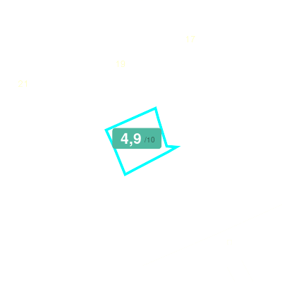 Mobiscore