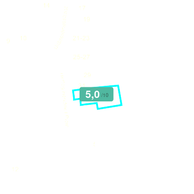 Mobiscore