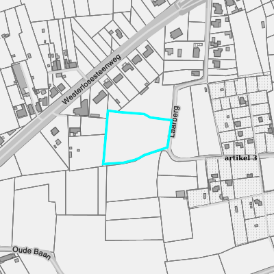 Ruimtelijke uitvoeringsplannen (RUP)