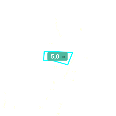 Mobiscore