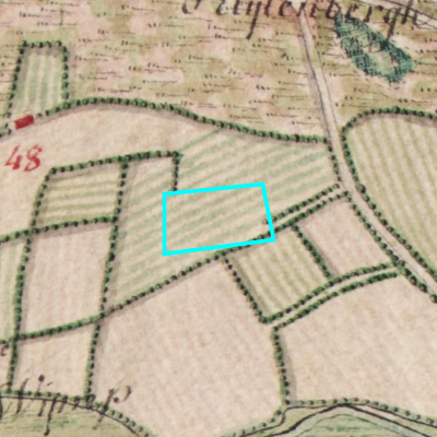 Ferraris (1771-1778)