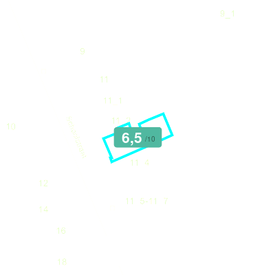 Mobiscore