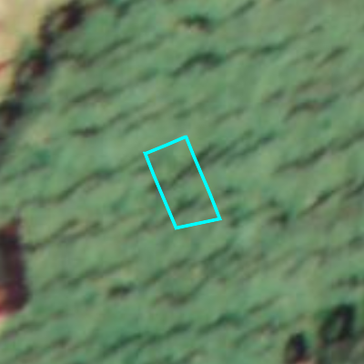 Ferraris (1771-1778)
