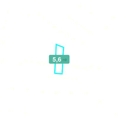 Mobiscore