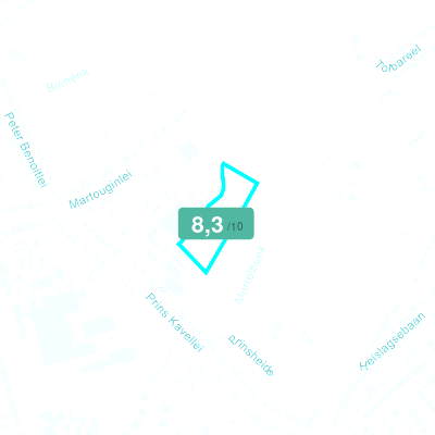 Mobiscore