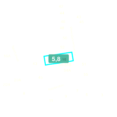 Mobiscore