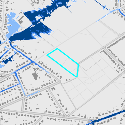 Overstromingsgevoelig (pluviaal)