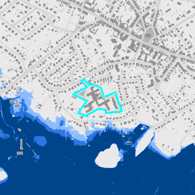 Overstromingsgevoelig (fluviaal)
