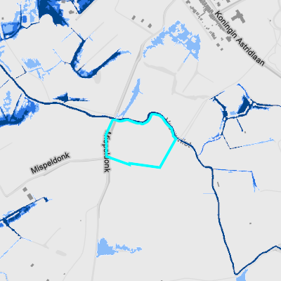 Overstromingsgevoelig (pluviaal)