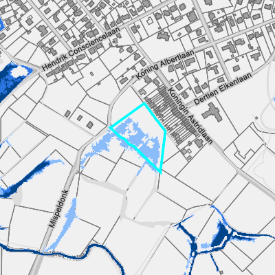 Overstromingsgevoelig (pluviaal)