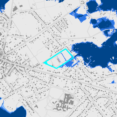 Overstromingsgevoelig (fluviaal)
