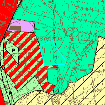 Gewestplan