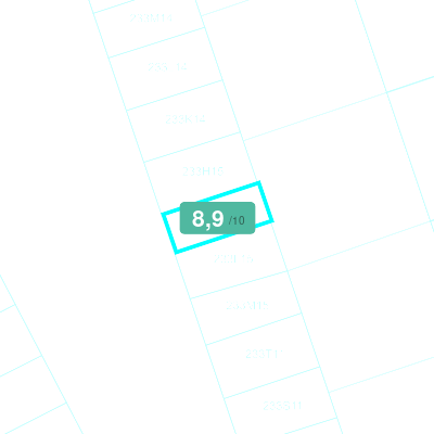 Mobiscore