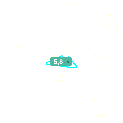 Mobiscore