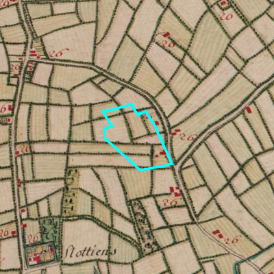 Ferraris (1771-1778)