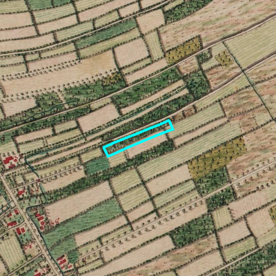 Ferraris (1771-1778)