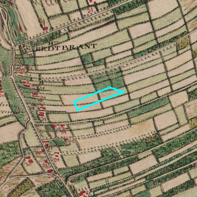 Ferraris (1771-1778)