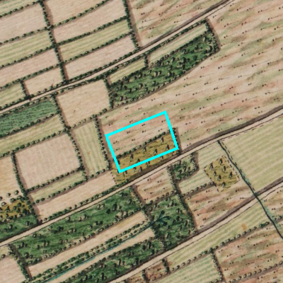 Ferraris (1771-1778)