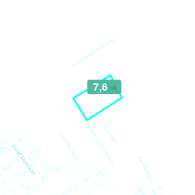 Mobiscore