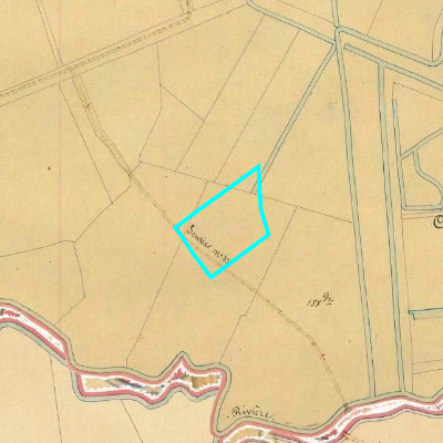 Algemeen Bodemgebruik (ABW)