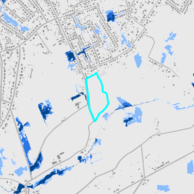Overstromingsgevoelig (pluviaal)