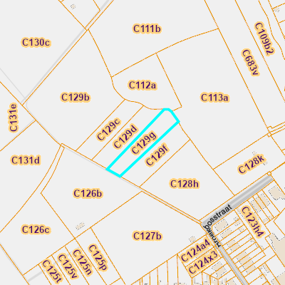 CADGIS