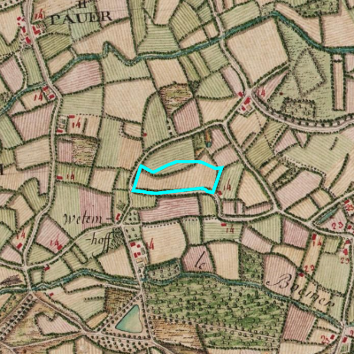 Ferraris (1771-1778)