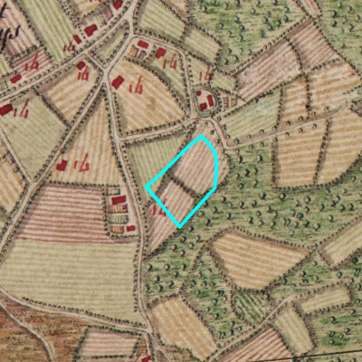 Ferraris (1771-1778)