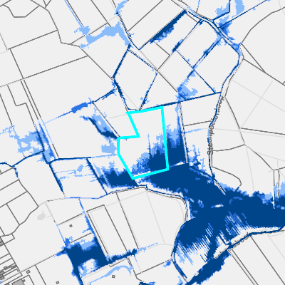 Overstromingsgevoelig (pluviaal)