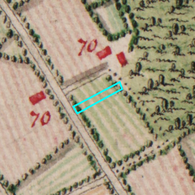 Ferraris (1771-1778)