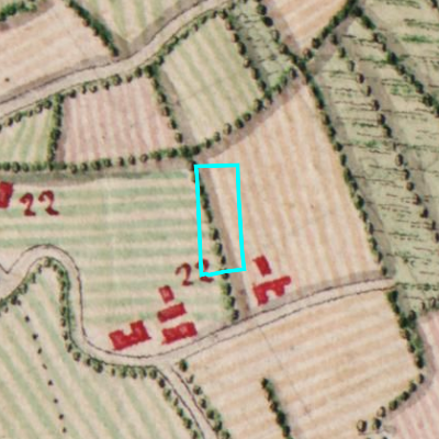 Ferraris (1771-1778)