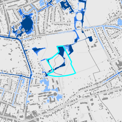 Overstromingsgevoelig (pluviaal)