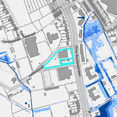 Overstromingsgevoelig (fluviaal)