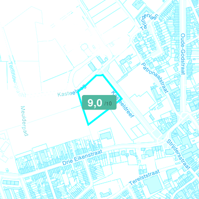 Mobiscore