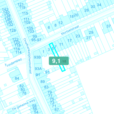 Mobiscore