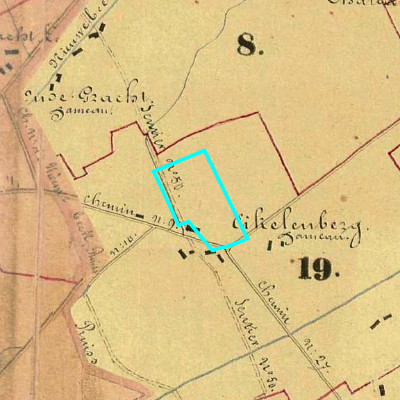 Algemeen Bodemgebruik (ABW)