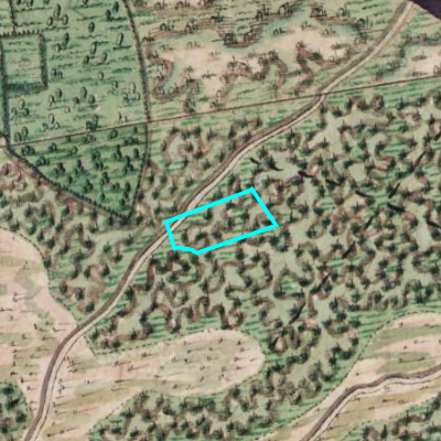 Ferraris (1771-1778)
