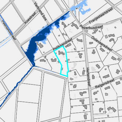 Overstromingsgevoelig (pluviaal)