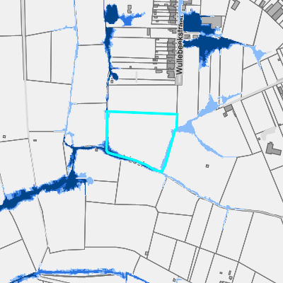 Overstromingsgevoelig (pluviaal)